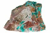 Gemmy Dioptase Crystals on Dolomite - Mpita Prospect, Congo #131263-2